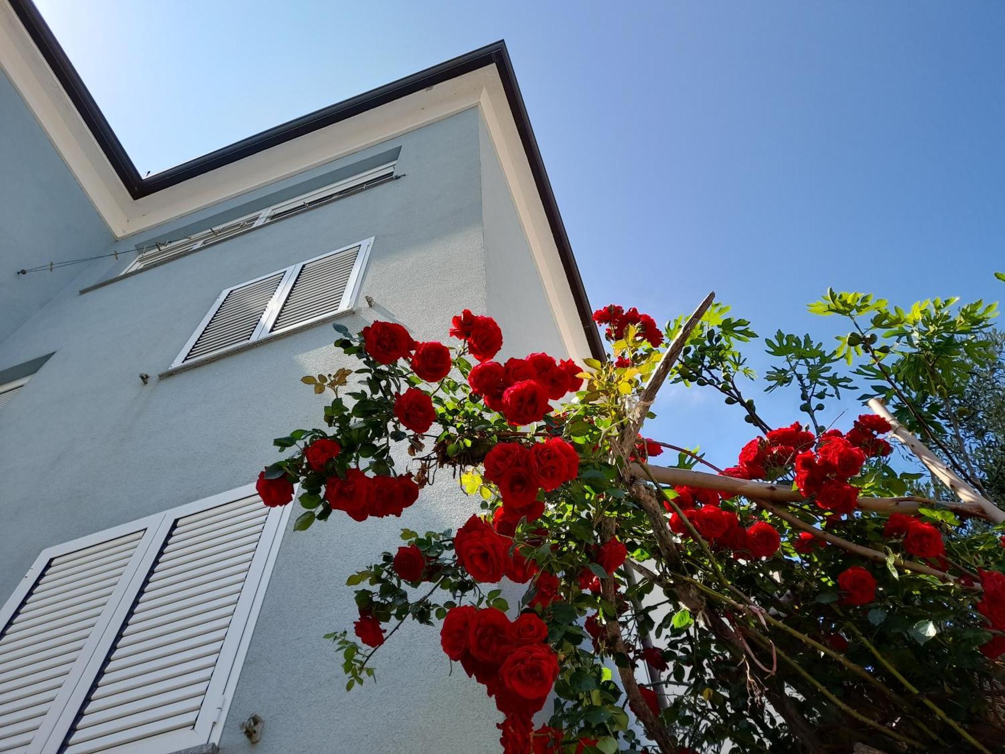 Lea Apartment Rovinj Exterior photo